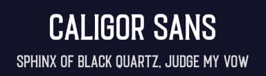 Caligor Sans by Letterhend Studio — Sans Serif Font — thumbnail 2