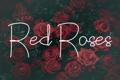 Callatte Font by Rvandtype — Script Handwritten Font — thumbnail 3