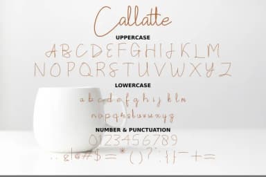 Callatte Font by Rvandtype — Script Handwritten Font — thumbnail 6