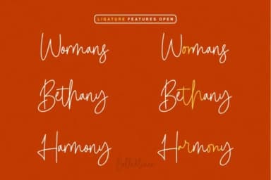 Calledliner Font by StringLabs — Script Handwritten Font — thumbnail 7