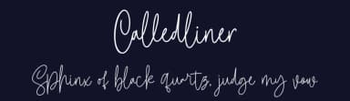 Calledliner by StringLabs Creative Studio — Script Handwritten Font — thumbnail 2