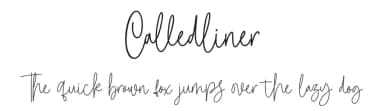 Calledliner by StringLabs Creative Studio — Script Handwritten Font — thumbnail 1