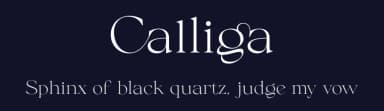 Calliga by BrandSemut — Serif Font — thumbnail 2