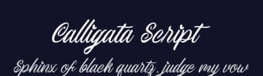 Calligata Script by Sesa Grafika — Script Handwritten Font — thumbnail 2