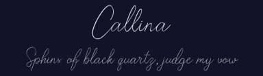 Callina by Letter Jos — Script Handwritten Font — thumbnail 2