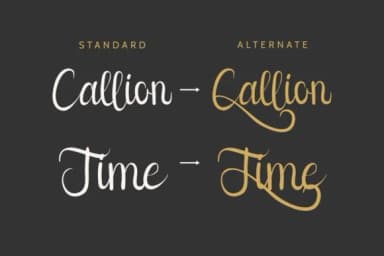 Callion Font by EdricStudio — Script Handwritten Font — thumbnail 4