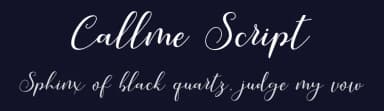Callme Script by WDfont — Script Handwritten Font — thumbnail 2