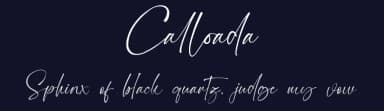 Calloada by Topan Sofyan — Script Handwritten Font — thumbnail 2