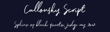 Callonsky Script by Letterhend Studio — Script Handwritten Font — thumbnail 2