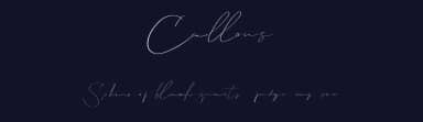 Callous by LetterStock Std — Script Handwritten Font — thumbnail 2