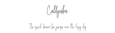 Callyndra by Bale — Script Handwritten Font — thumbnail 1