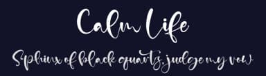 Calm Life by Kong Font — Script Handwritten Font — thumbnail 2