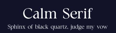Calm Serif by Riyadh Rahman — Serif Font — thumbnail 2