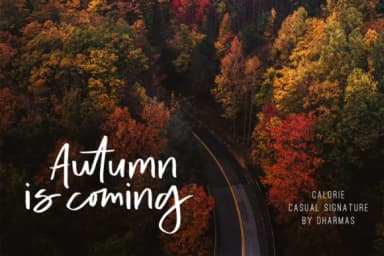 Calorie Font by Dharmas Studio — Script Handwritten Font — thumbnail 7