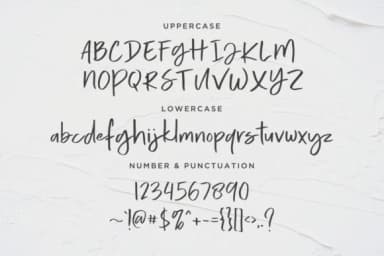 Calorie Font by Dharmas Studio — Script Handwritten Font — thumbnail 9
