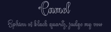 Camel by Andi Moz — Script Handwritten Font — thumbnail 2