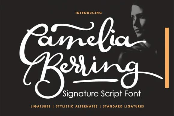Camelia Berring Script Font by Noyot246 — Script Handwritten Font
