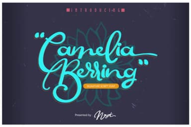 Camelia Berring Script Font by Noyot246 — Script Handwritten Font — thumbnail 2