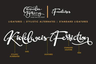 Camelia Berring Script Font by Noyot246 — Script Handwritten Font — thumbnail 3