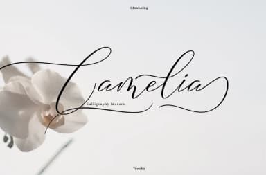 Camelia Font by Teweka — Script Handwritten Font — thumbnail 1