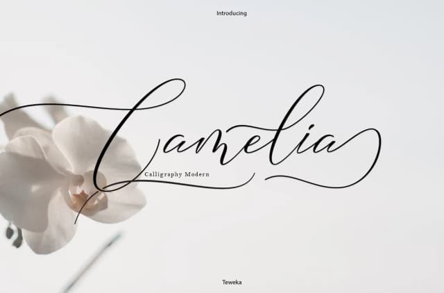 Camelia Font by Teweka — Script Handwritten Font