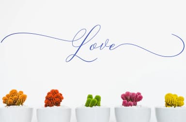 Camelia Font by Teweka — Script Handwritten Font — thumbnail 7