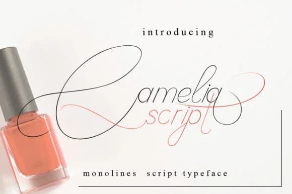 Camelia Script Font by jehansyah251 — Script Handwritten Font