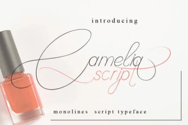 Camelia Script Font by jehansyah251 — Script Handwritten Font — thumbnail 1