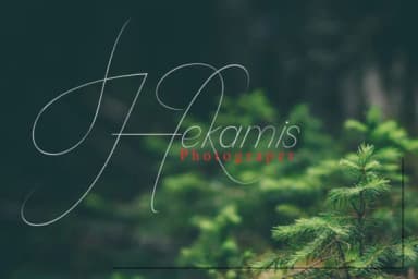 Camelia Script Font by jehansyah251 — Script Handwritten Font — thumbnail 4