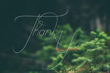 Camelia Script Font by jehansyah251 — Script Handwritten Font — thumbnail 6