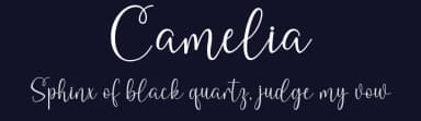 Camelia by Danar Nugroho — Script Handwritten Font — thumbnail 2
