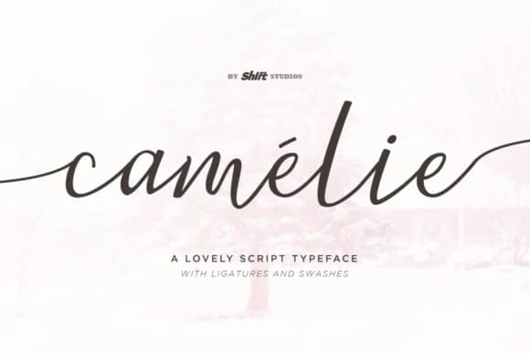 Camelie Font by ShiftStudios — Script Handwritten Font