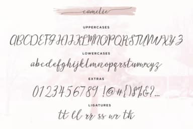Camelie Font by ShiftStudios — Script Handwritten Font — thumbnail 5