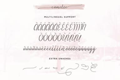 Camelie Font by ShiftStudios — Script Handwritten Font — thumbnail 6