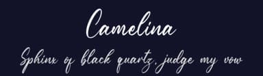 Camelina by NanaNissa — Script Handwritten Font — thumbnail 2