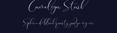 Cameliya Stark by Moly Mol — Script Handwritten Font — thumbnail 2