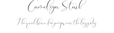 Cameliya Stark by Moly Mol — Script Handwritten Font — thumbnail 1