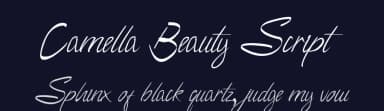 Camella Beauty Script by Gigih Wiryana — Script Handwritten Font — thumbnail 2
