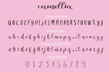 Camellia Font by dmletter31 — Script Handwritten Font — thumbnail 2
