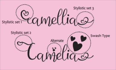 Camellia Font by dmletter31 — Script Handwritten Font — thumbnail 3