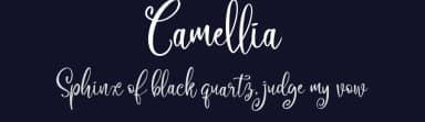 Camellia by Din Studio — Script Handwritten Font — thumbnail 2