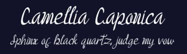 Camellia Caponica by Yahhya Anas — Script Handwritten Font — thumbnail 2