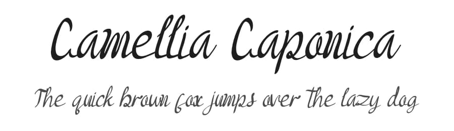 Camellia Caponica by Yahhya Anas — Script Handwritten Font