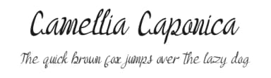 Camellia Caponica by Yahhya Anas — Script Handwritten Font — thumbnail 1