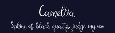 Camellia by DM Letter Studio - Dimas Prasetyo — Script Handwritten Font — thumbnail 2