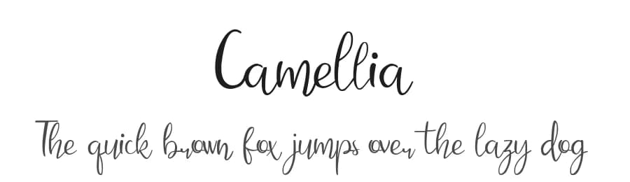 Camellia by DM Letter Studio - Dimas Prasetyo — Script Handwritten Font