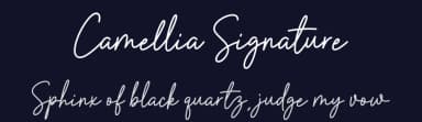 Camellia Signature by Picky Labs — Script Handwritten Font — thumbnail 2
