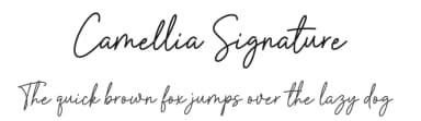 Camellia Signature by Picky Labs — Script Handwritten Font — thumbnail 1