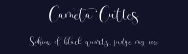 Cameta Cuttes by Gilar Studio — Script Handwritten Font — thumbnail 2