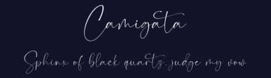 Camigata by Dav studio — Script Handwritten Font — thumbnail 2